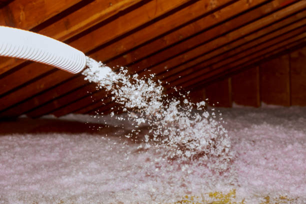 Best Residential Insulation Services  in Bowie, TX