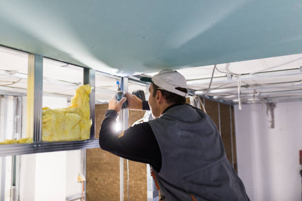 Best Home Insulation Services  in Bowie, TX