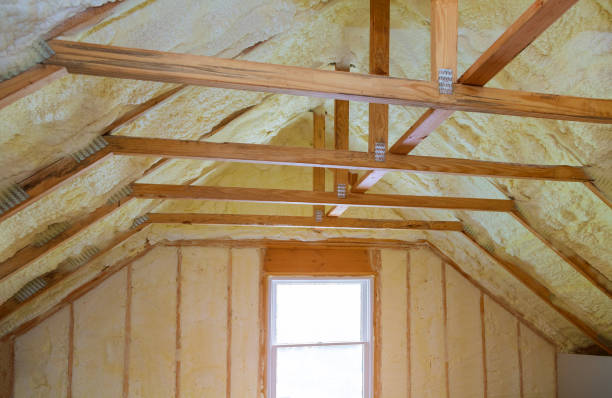 Best Professional Insulation Contractor  in Bowie, TX