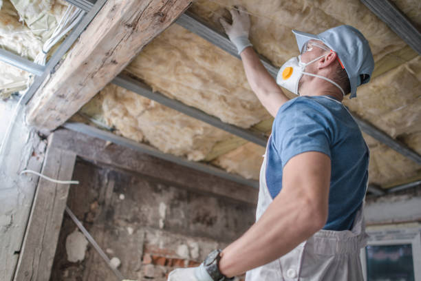 Best Cellulose Insulation  in Bowie, TX