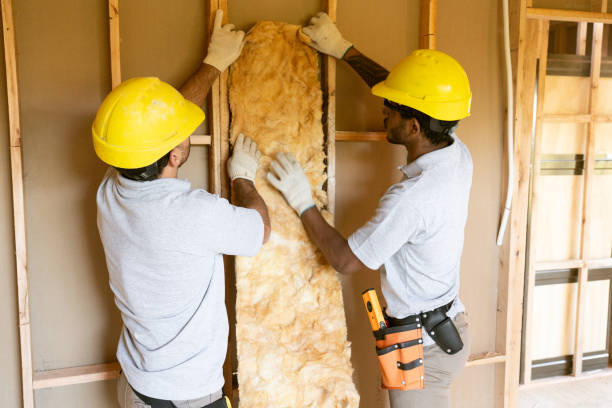 Best Attic Insulation Installation  in Bowie, TX