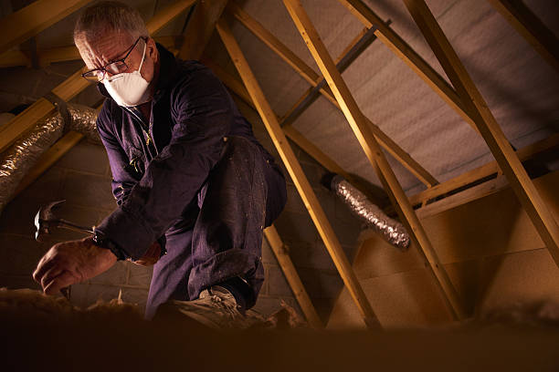 Best Insulation for New Construction  in Bowie, TX