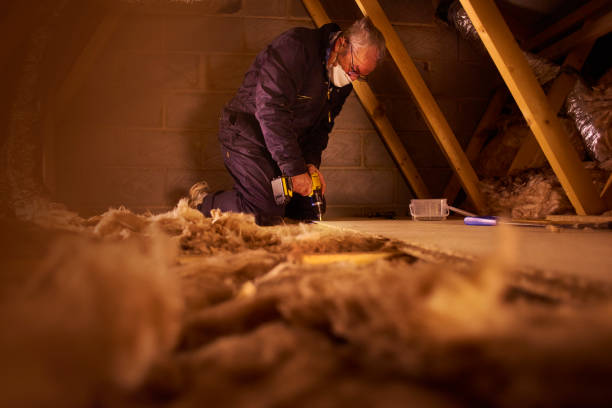 Best Local Insulation Services  in Bowie, TX